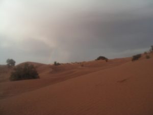 サハラ砂漠 その3